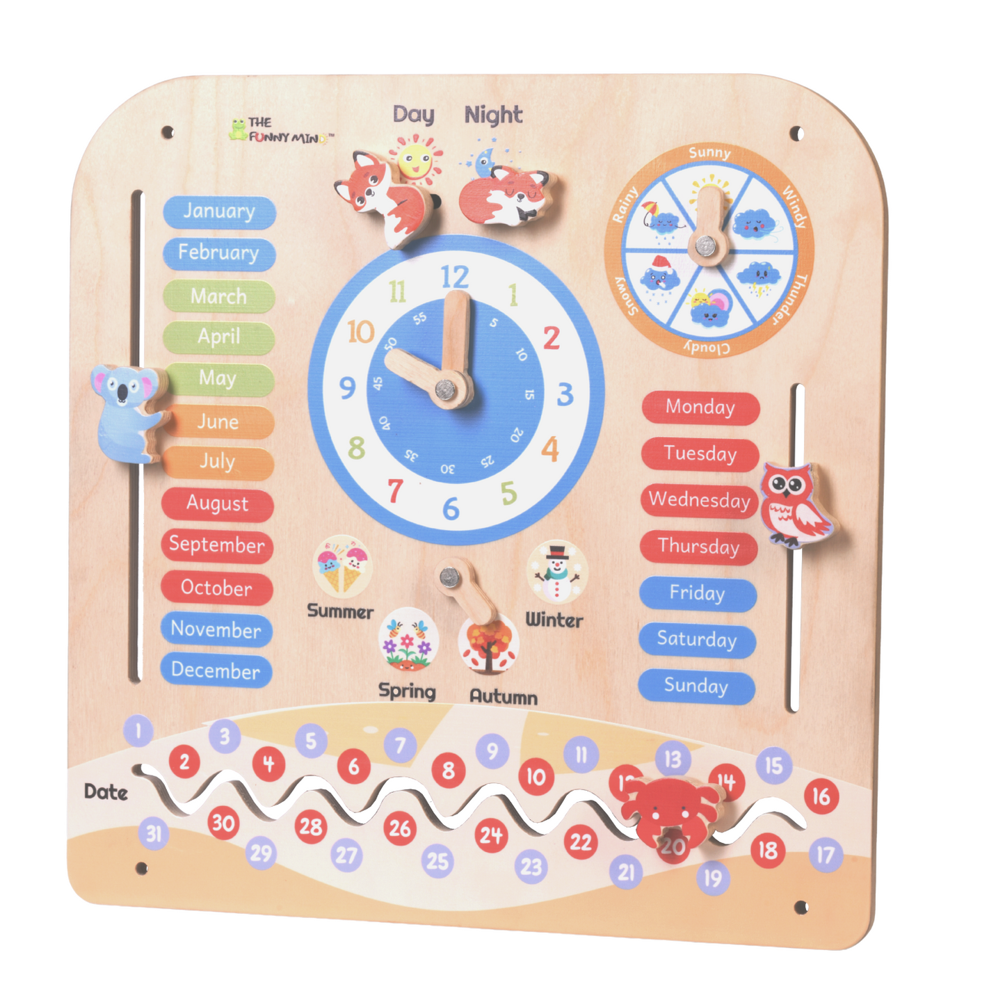 Teaching Clock and Calendar in Natural Birchwood
