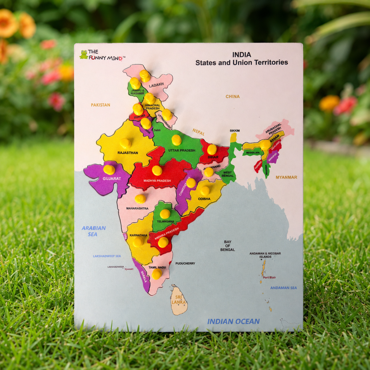 India States & Union Territories Wooden Knob Puzzle